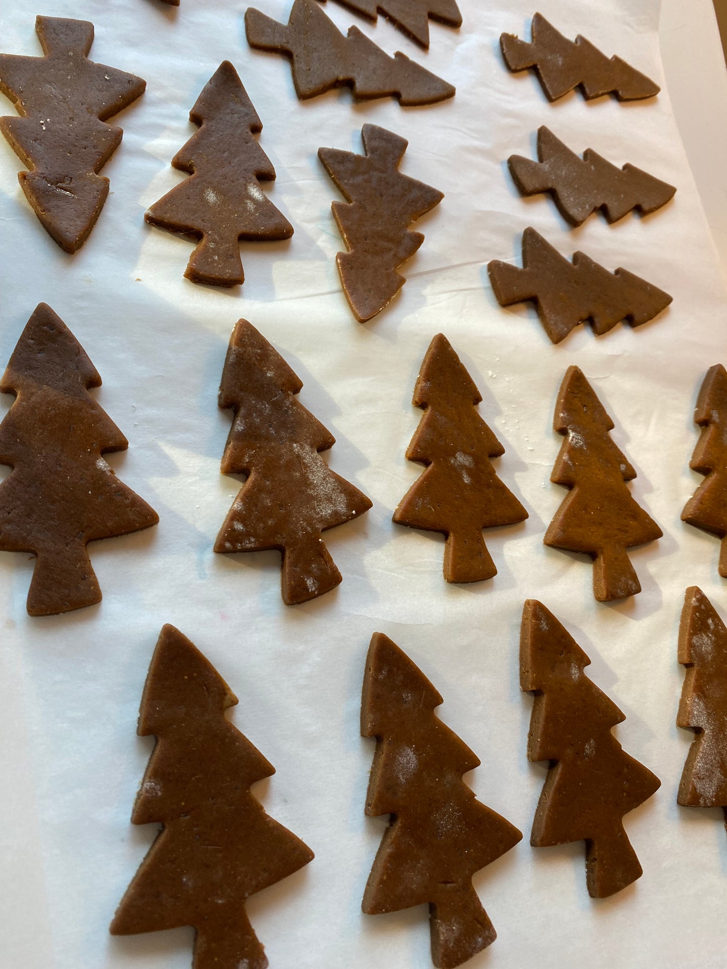 ENFANT (+3 ans) - Samedi 6 Décembre - Paris 6 : Biscuits pain d’épices